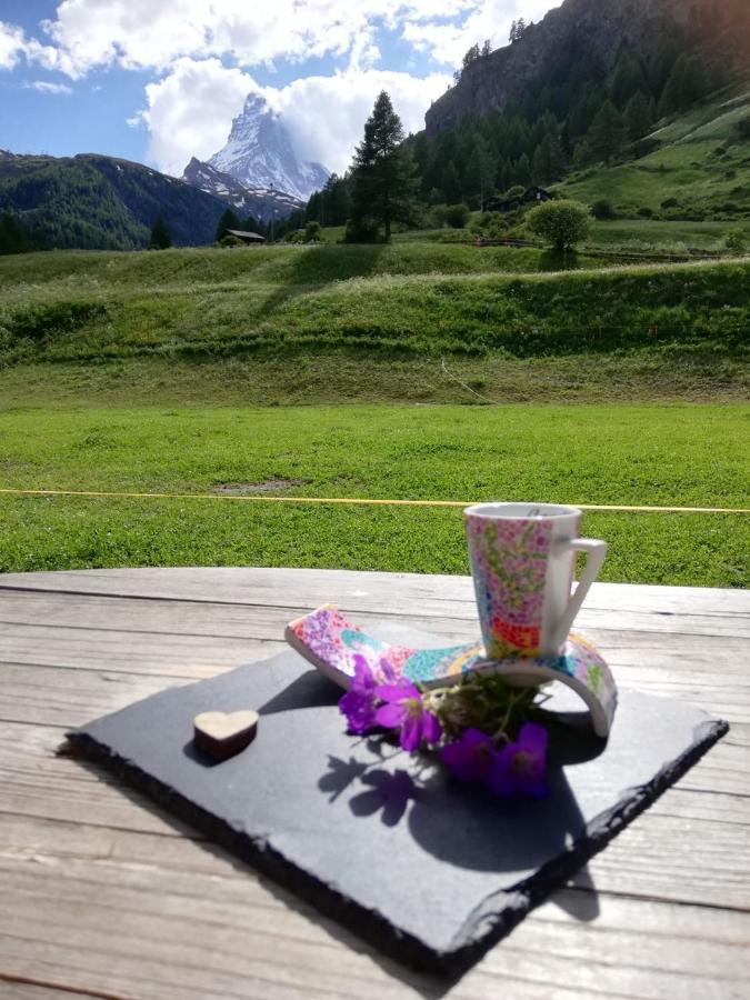 Emelie Zermatt 4**** Διαμέρισμα Εξωτερικό φωτογραφία